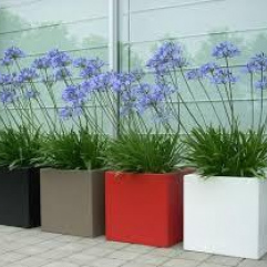 30*30*30  KARE SAKSI